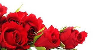 Il faut connaître la signification des roses comme symbole de l'amour